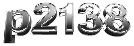 p2138 logo